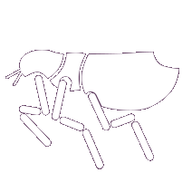 Gif animé puces transparente